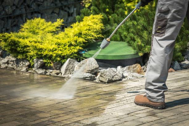 Best Boat and Dock Cleaning  in Jefferson, IA