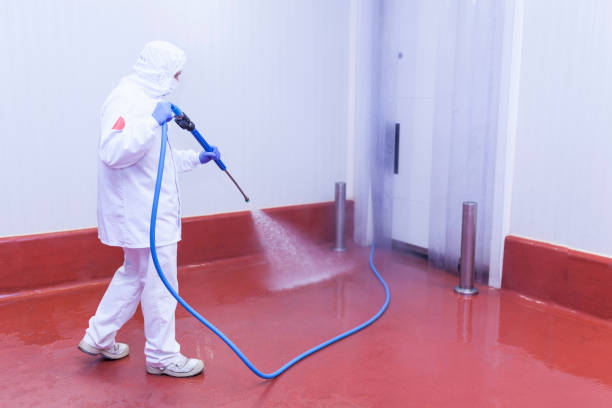 Best Driveway Pressure Washing  in Jefferson, IA